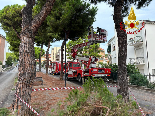 San Benedetto del Tronto - Ramo pericolante, rimosso in via Marradi